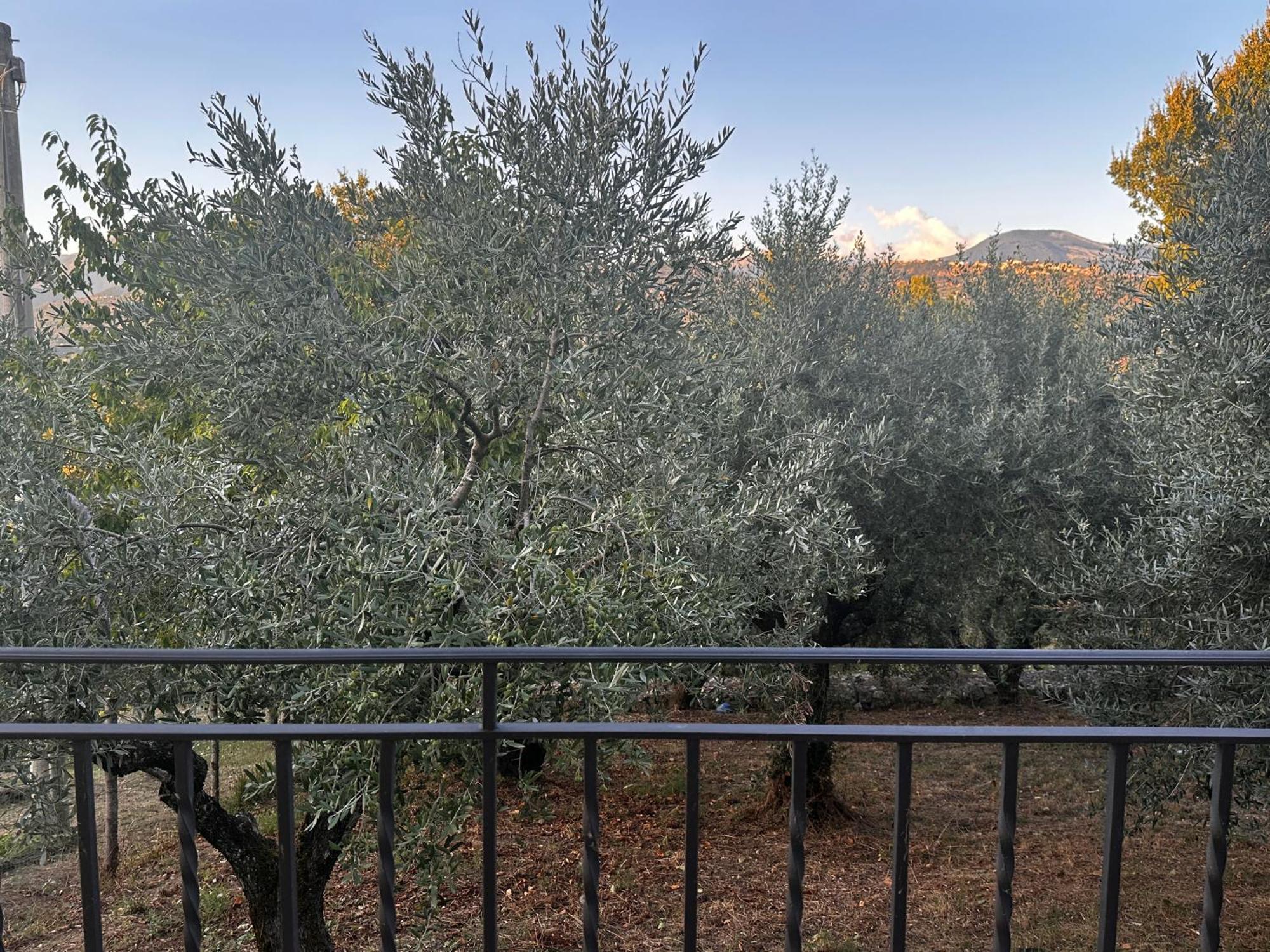 La Casa In Collina Veroli Exterior foto